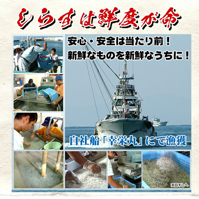 【ふるさと納税】鹿児島県産「網元の天日干しちりめん(計400g・50g×8袋)」！直送 新鮮 鮮度 国産 しらす シラス じゃこ直送 魚 魚介類 さかな 小魚 カルシウム【大久保水産】 サムネイル3