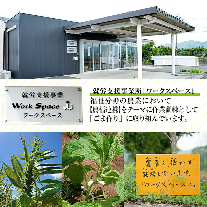 【ふるさと納税】≪ESSE銀賞・数量限定≫希少な国内産！農薬不使用の「くしきの金ごま」(いりゴマ35g×5袋) じっくり焙煎した胡麻でサラダや和え物おにぎりに！国産 稀少 農薬不使用 小分け 金 ごま ゴマ 常温 2024 ESSE グランプリ 受賞【就労継続支援B型ワークスペースi】 サムネイル2