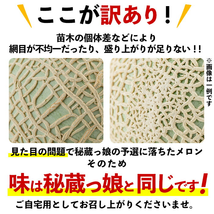 【ふるさと納税】【内容量&組み合わせが選べる】【訳あり・数量限定】牧さんの訳ありメロン！(1玉1.4kg以上)鹿児島県志布志市産！マスクメロン メロン 果物 フルーツ くだもの デザート 青肉 赤肉 訳あり【ファームランド牧】 サムネイル3