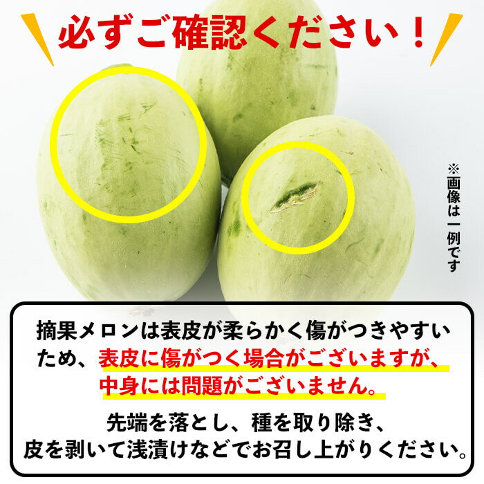 【ふるさと納税】＜R8年1月〜2月末頃配送予定＞知っている人は知っている！秘蔵っ娘メロンの副産物「摘果メロン」2kg！（子メロン・小メロン）お漬物・刺身のツマ・サラダなど活用方法イロイロ♪【ファームランド牧】a0-330 サムネイル3