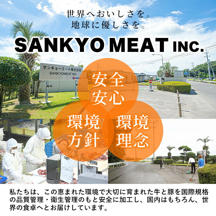 【ふるさと納税】【定期便全6回】黒毛和牛・黒豚を交互にお届け！＜志布志牛・豚 満足定期コース＞計6.3kg超！ 牛肉 豚肉 サーロイン スライス 切り落とし 黒豚 ロース 豚バラ しゃぶしゃぶ すき焼き 焼肉 国産【サンキョーミート】t0100-026 サムネイル2