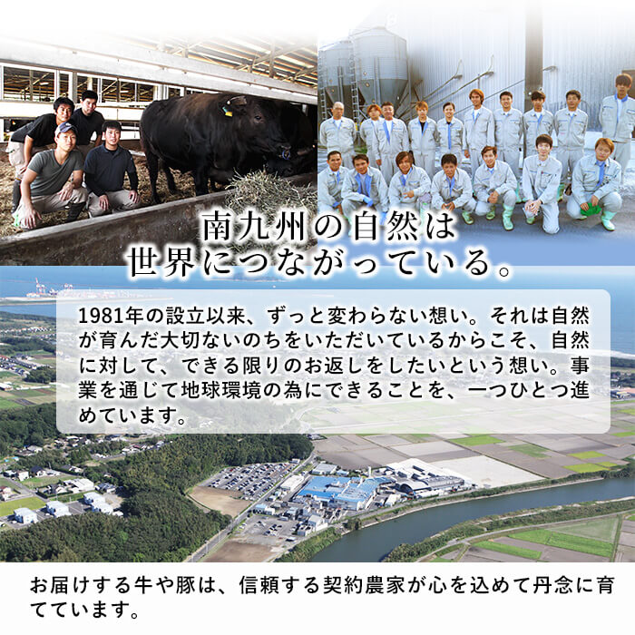 【ふるさと納税】【定期便全6回】黒毛和牛・黒豚を交互にお届け！＜志布志牛・豚 満足定期コース＞計6.3kg超！ 牛肉 豚肉 サーロイン スライス 切り落とし 黒豚 ロース 豚バラ しゃぶしゃぶ すき焼き 焼肉 国産【サンキョーミート】t0100-026 サムネイル3