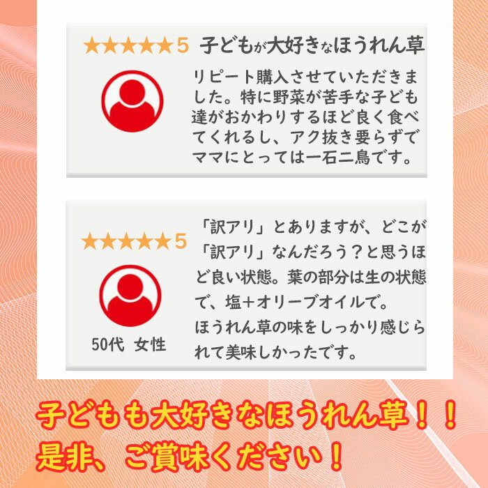 【ふるさと納税】＜先行予約受付中！R7年12月頃配送予定＞【選べる内容量】【数量限定・訳あり】志布志湾ほうれん草(1kg or 2kg or 定期便)生でも食べられるほうれん草！サラダ おひたし お味噌汁 スムージー ほうれん草 ジュース ほうれんそう【そはら農園】 サムネイル3
