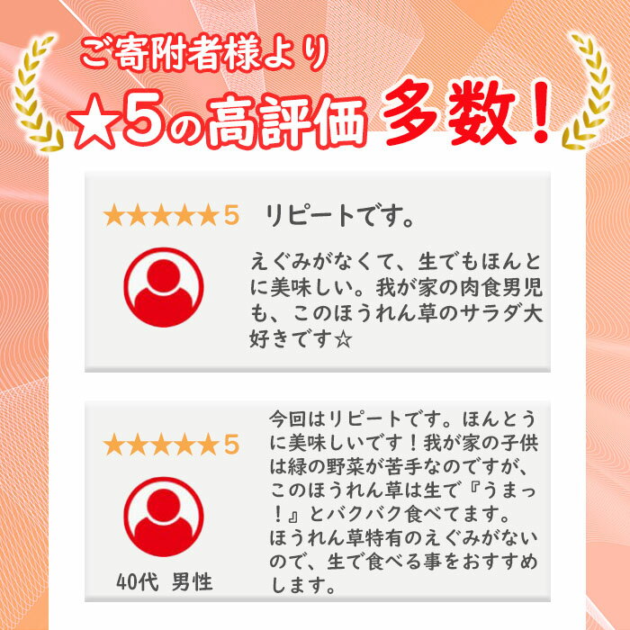 【ふるさと納税】＜先行予約受付中！R7年12月頃配送予定＞【選べる内容量】【数量限定・訳あり】志布志湾ほうれん草(1kg or 2kg or 定期便)生でも食べられるほうれん草！サラダ おひたし お味噌汁 スムージー ほうれん草 ジュース ほうれんそう【そはら農園】 サムネイル2