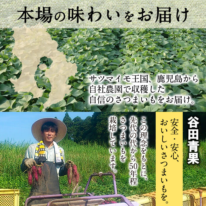 【ふるさと納税】鹿児島県産！高系14号！ホクホクさつまいも(ミックスサイズ5kg×2箱・計10kg)安心・安全なさつま芋を生産量日本一の本場鹿児島からお届け♪【谷田青果】 a5-005 サムネイル3