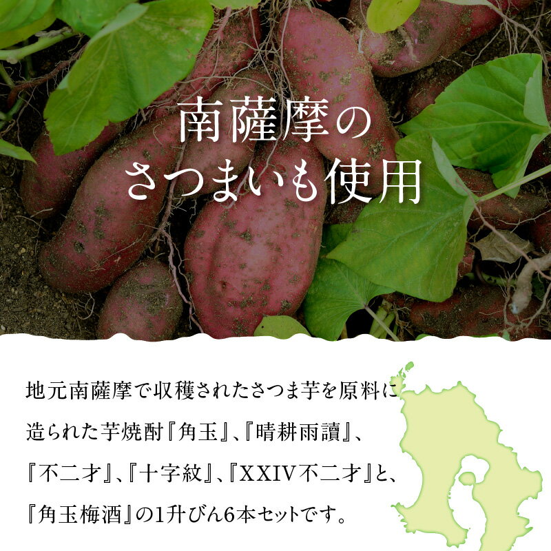 【ふるさと納税】佐多宗二商店 芋焼酎 1.8L × 5本 梅酒 1.8L×1本 まるごと 1升びん 6本 セット 角玉 晴耕雨讀 不二才 十字紋 XXIV不二才 豪華 お酒 焼酎 アルコール さつまいも 米こうじ 国産 鹿児島県産 南九州市 送料無料 サムネイル3