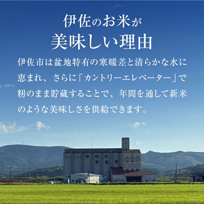 【ふるさと納税】＜種類が選べる！＞いさひかり 普通米 or 無洗米 (5kg×2袋・計10kg)お米 米 白米 精米 伊佐米 ご飯 ヒノヒカリ 無洗米 普通米【JA北さつま】【A6-02】 サムネイル2