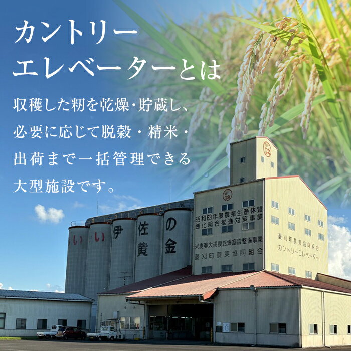 【ふるさと納税】＜種類が選べる！＞いさひかり 普通米 or 無洗米 (5kg×2袋・計10kg)お米 米 白米 精米 伊佐米 ご飯 ヒノヒカリ 無洗米 普通米【JA北さつま】【A6-02】 サムネイル3