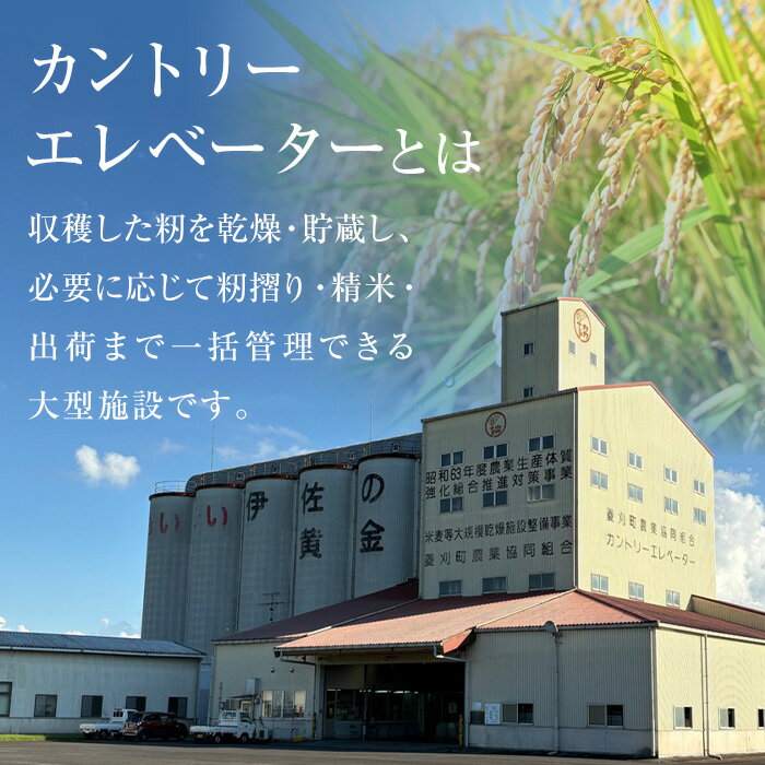 【ふるさと納税】＜種類が選べる！＞いさひかり 普通米 or 無洗米 (5kg×2袋・計10kg)お米 米 白米 精米 伊佐米 ご飯 ヒノヒカリ 無洗米 普通米【JA北さつま】 - 画像3