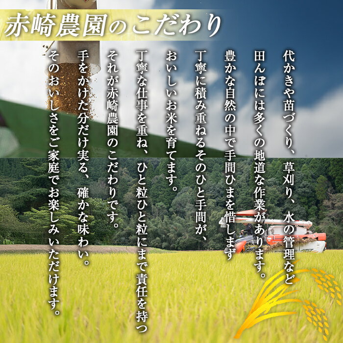 【ふるさと納税】＜内容量が選べる！＞鹿児島県産もち米(5kg or 10kg or 20kg) 国産 鹿児島県 餅米 お米 おはぎ 赤飯 おこわ 伊佐米 【赤崎農園】 - 画像3