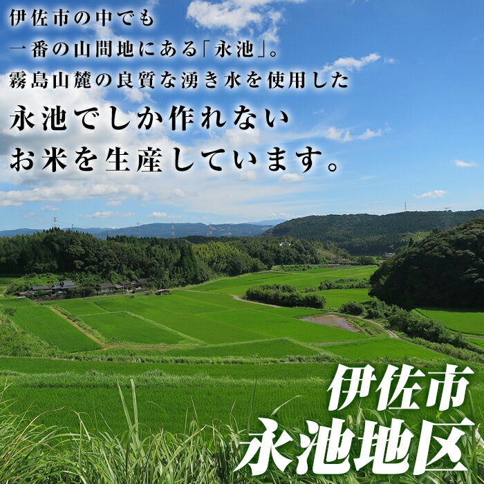 【ふるさと納税】《内容量が選べる・数量限定》令和7年産 新米 特別栽培米 伊佐米永池ひのひかり(3kg/5kg/10kg) 伊佐市 永池 特産品 伊佐米 九州米サミット 食味コンテスト 最優秀賞受賞 ヒノヒカリ 【エコファーム永池】 サムネイル3