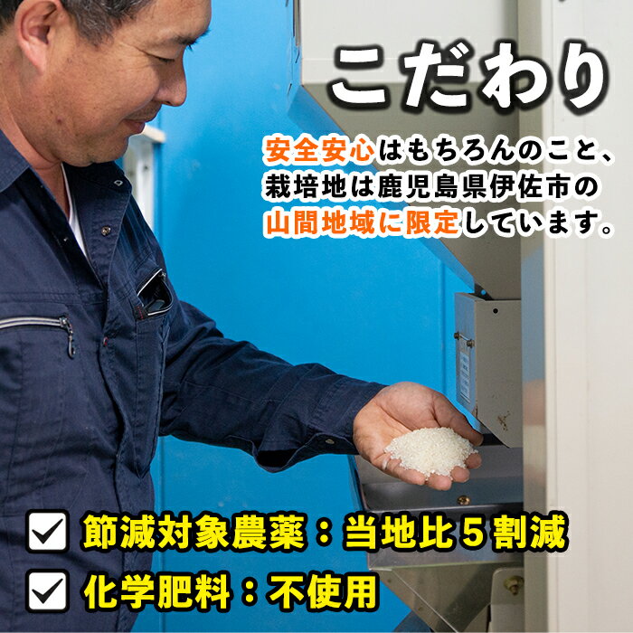 【ふるさと納税】《選べる品種・数量限定》かめさんのお米(5kg・なつほのかorひのひかりorあきほなみ・無洗米) 国産 白米 精米 無洗米 伊佐米 お米 米 生産者 なつほのか ひのひかり あきほなみ ナツホノカ ヒノヒカリ アキホナミ 新米 5kg 【Farm-K】 サムネイル3