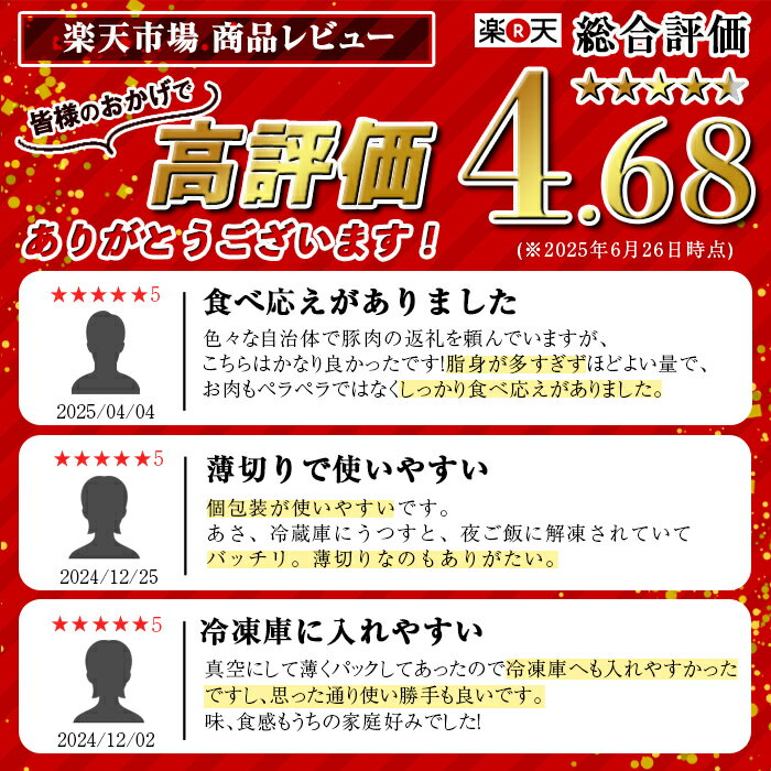 【ふるさと納税】鹿児島県産黒豚切り落とし(計2.5kg・250g×10P) 精肉 小分け 切落とし 料理 パック 国産 薄切り 豚肉 九州産 冷凍 【増元精肉店】 サムネイル2