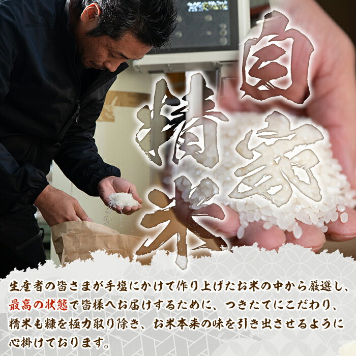 【ふるさと納税】＜容量を選べる！＞鹿児島県産！伊佐米ヒノヒカリ(計5〜25kg) 国産 白米 精米 伊佐米 お米 米 ひのひかり【神薗商店】 - 画像3