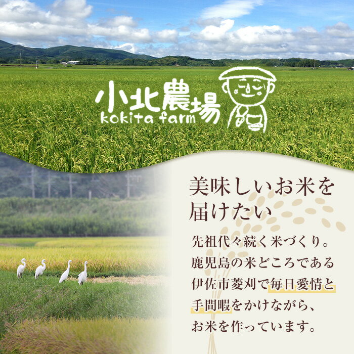 【ふるさと納税】《年産と容量が選べる・数量限定》小北農場のお米 伊佐黄金米〈ヒノヒカリ〉(5kg or 10kg) 鹿児島 伊佐 お米 特別栽培米 伊佐米 白米 ヒノヒカリ ひのひかり おにぎり ごはん 【小北農場】 サムネイル2