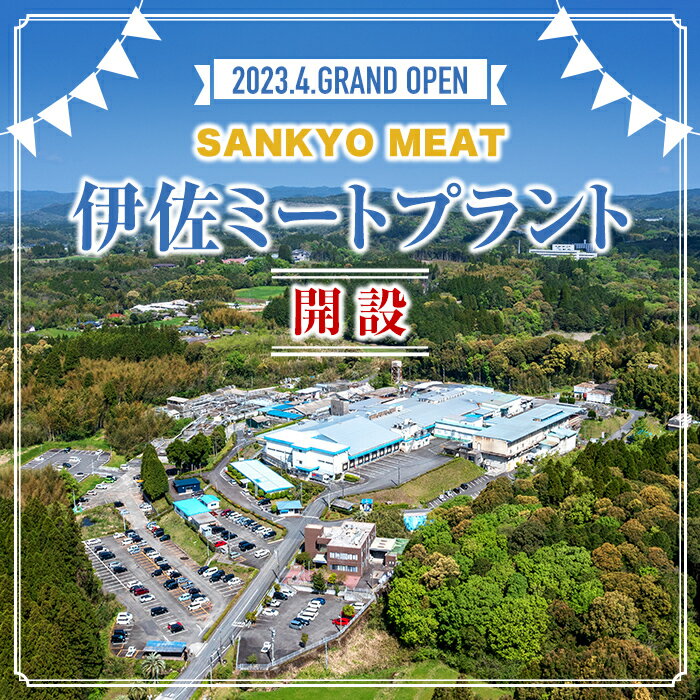 【ふるさと納税】【定期便3回】九州産 豚肉サンサンセット (合計6.9kg) 国産 切り落とし バラスライス 肩ロース ロース しゃぶしゃぶ 生姜焼き 真空包装 小分け ぶたにく 豚 肉 詰合せ 冷凍【サンキョーミート株式会社】 サムネイル3