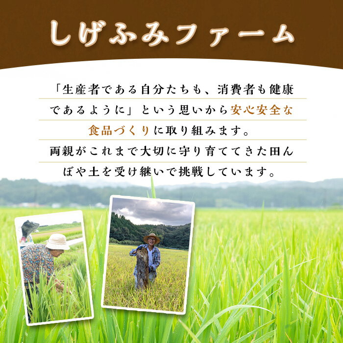 【ふるさと納税】《毎月数量限定》あんしん玄米(約1kg×3袋・計約3kg) 米 玄米 お米 鹿児島県 伊佐市 健康 食物繊維 腸活 有機肥料 EM農法 【しげふみファーム】 - 画像2
