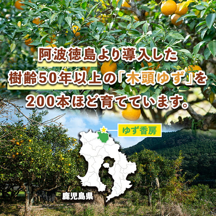 【ふるさと納税】＜本数を選べる！・数量限定＞ゆずしぼり(計6本 or 9本) 柚子 ゆず ユズ 果汁 100% ジュース 自家栽培 塩不使用 食酢 ポン酢 お湯割【ゆず香房】 サムネイル3