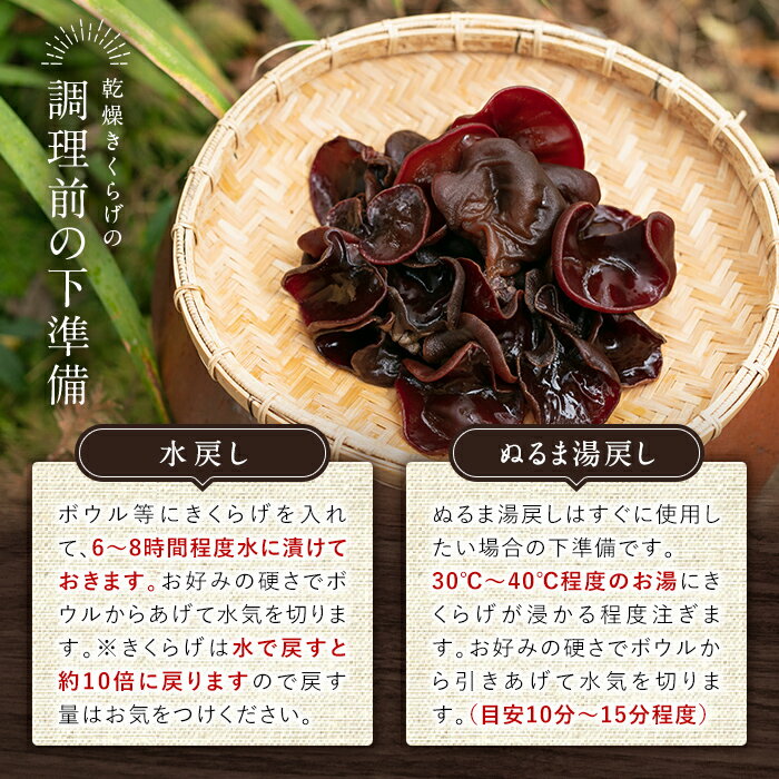 【ふるさと納税】国産乾燥きくらげ計60g(20g×3袋)国産 きのこ キノコ 茸 野菜キクラゲ きくらげ 木耳 乾燥 天日干し 小分け 常温 常温保存 セット 化粧箱 ギフト箱【姶良のアグリM〜】 - 画像3