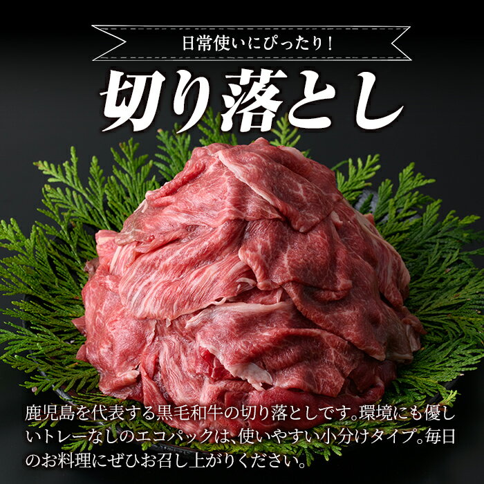 【ふるさと納税】＜容量・定期便が選べる＞黒毛和牛切り落とし(6P計120g・12P計1.44kg・24P計2.88kg・36P計4.32kg・48P計5.76kg・3回定期便・6回定期便・12回定期便) 国産 肉 牛肉 黒毛和牛 切り落とし セット 小分け トレー無し SDGs 【水迫畜産】 サムネイル2