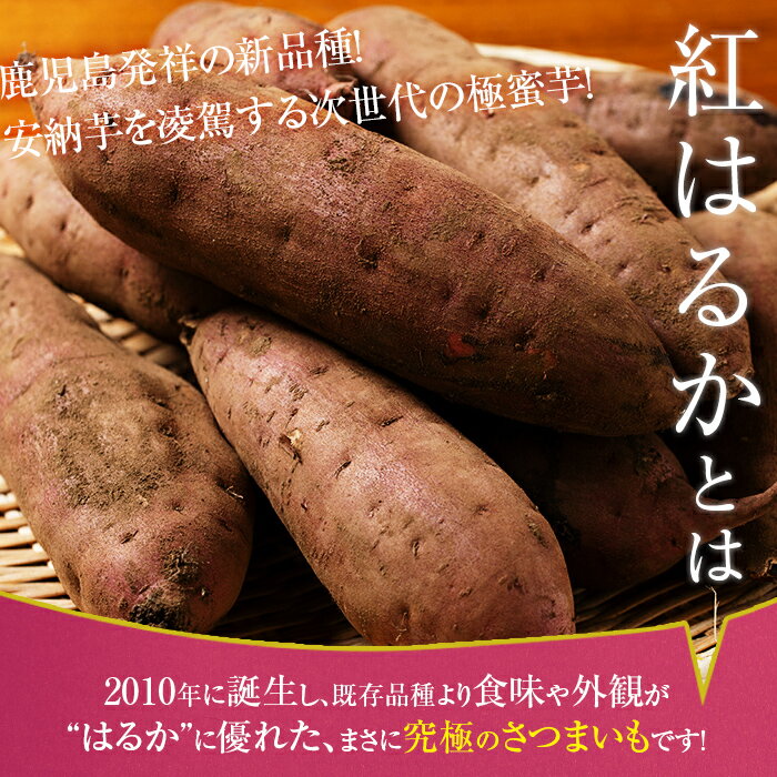 【ふるさと納税】＜先行予約受付中！2025年12月中旬以降順次発送予定＞畑の金貨・紅はるか4kg(生芋)国産 さつま芋 サツマイモ べにはるか 貯蔵 熟成 蜜芋 蜜いも さつまいも【甘いも販売所】 サムネイル2