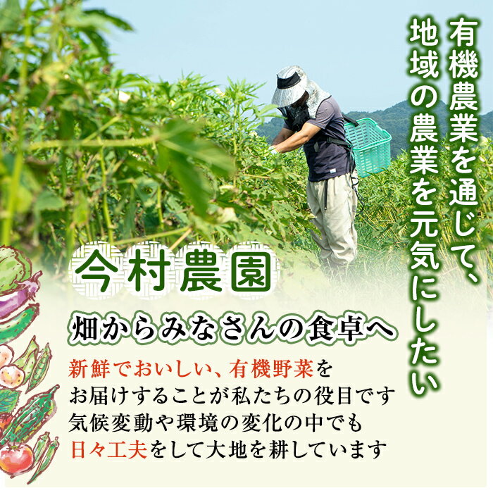 【ふるさと納税】姶良産 有機野菜の詰合せセット(10種前後)国産 鹿児島県 野菜 やさい 旬 有機栽培 詰め合わせ 春 夏 秋 冬 季節【今村農園】 - 画像2