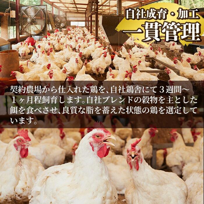 【ふるさと納税】＜発送時期が選べる＞鹿児島の郷土料理 鶏刺し約1.1kg(モモ肉・ムネ肉混合約220g×5P)さしみしょうゆ付き♪ 国産 鹿児島県産 鶏肉 鶏 とり 鳥刺し 刺身 醤油付き 小分け 冷凍 おつまみ おかず 鳥刺 期間限定【中村鶏肉店】 サムネイル3