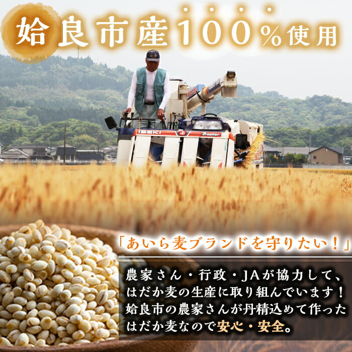 【ふるさと納税】数量限定！姶良市産はだか麦(計4kg・400g×10個)国産 姶良市 ご飯 麦ごはん はだか麦 穀物 食物繊維 小分け 【竹之内穀類産業】 - 画像2