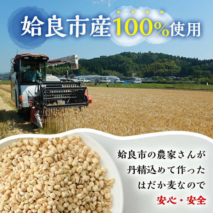【ふるさと納税】《訳あり・数量限定》姶良市産はだか麦35g×105袋(合計約3.6kg超え)国産 姶良市 ご飯 麦ごはん はだか麦 穀物 食物繊維 小分け 常温 常温保存 【竹之内穀類産業】 - 画像2