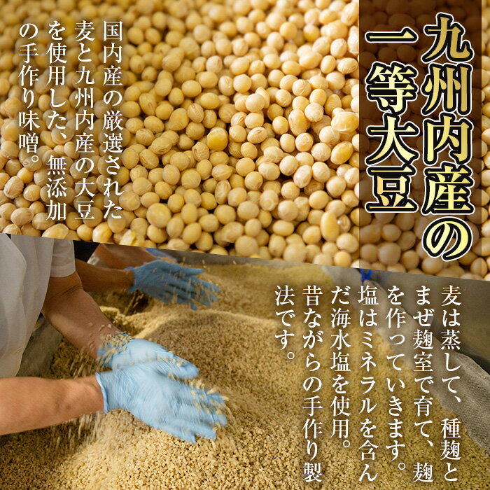 【ふるさと納税】さつまみそ美人(900g×10袋・計9kg) 鹿児島 手作り原材料 麦味噌 むぎみそ 味噌汁 豚汁 昔ながら【Helloさつま】 サムネイル3