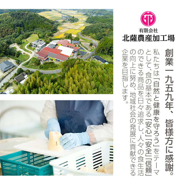 【ふるさと納税】〈選べる配送回数・頻度！〉《訳あり・毎月数量限定》たけのこ水煮詰め合わせ(計約1.75kg・孟宗筍水煮約200g×5袋、胡参竹水煮約150g×5袋/1回or3回(連続or隔月)) 鹿児島 国産 たけのこ タケノコ 竹の子 水煮 野菜 小分け パック 常温【北薩農産加工場】 サムネイル3