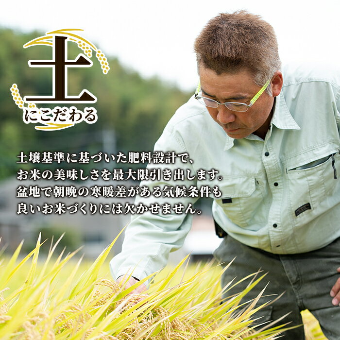 【ふるさと納税】【令和7年産】＜選べる内容量＞ 鹿児島県さつま町産 あきほなみ (2kg・5kg)あなたが選ぶ日本一おいしい米コンテストin庄内 最優秀金賞受賞 鹿児島県産 あきほなみ 農家直送 ブランド米 お米 白米 ごはん ご飯 【かじや農産】 - 画像3