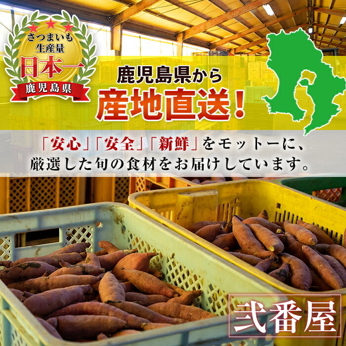 【ふるさと納税】≪先行予約受付中！2025年11月上旬より順次発送予定≫＜内容量が選べる！＞《期間限定》鹿児島県産紅はるか生芋(5kg or 10kg) 鹿児島 お芋 さつまいも サツマイモ 薩摩芋 焼き芋 おかず スイーツ 【弐番屋】 サムネイル2