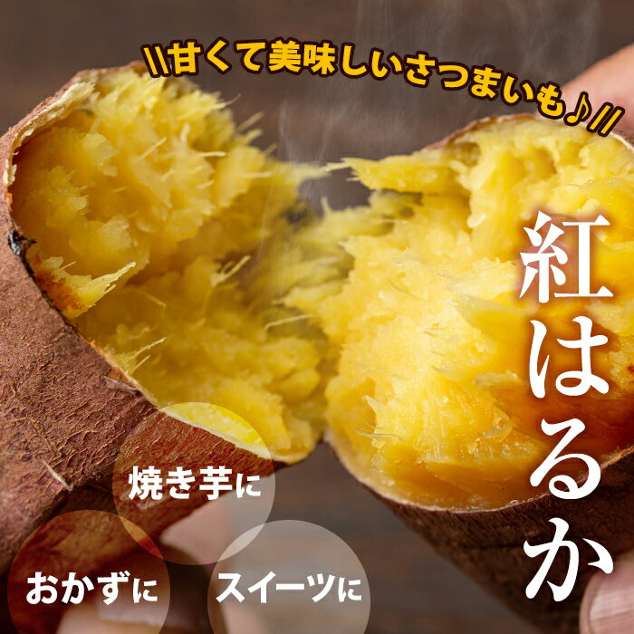 【ふるさと納税】≪先行予約受付中！2025年11月上旬より順次発送予定≫＜内容量が選べる！＞《期間限定》鹿児島県産紅はるか生芋(5kg or 10kg) 鹿児島 お芋 さつまいも サツマイモ 薩摩芋 焼き芋 おかず スイーツ 【弐番屋】 サムネイル3