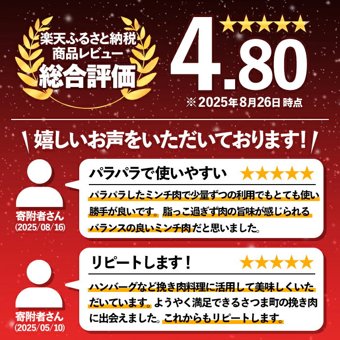 【ふるさと納税】《毎月数量限定》鹿児島うんまか豚ミンチ(計3kg・500g×6P) 鹿児島 国産 豚肉 挽肉 豚ひき肉 ミンチ 冷凍 【肉の寺師】 - 画像3