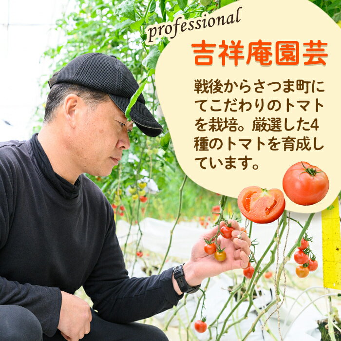 【ふるさと納税】《期間・数量限定》＜訳あり＞大玉トマト(約2kg) 鹿児島 国産 九州産 野菜 やさい 新鮮 とまと トマト 訳あり 規格外 ご家庭用 産地直送 サラダ 【吉祥庵園芸】 - 画像2