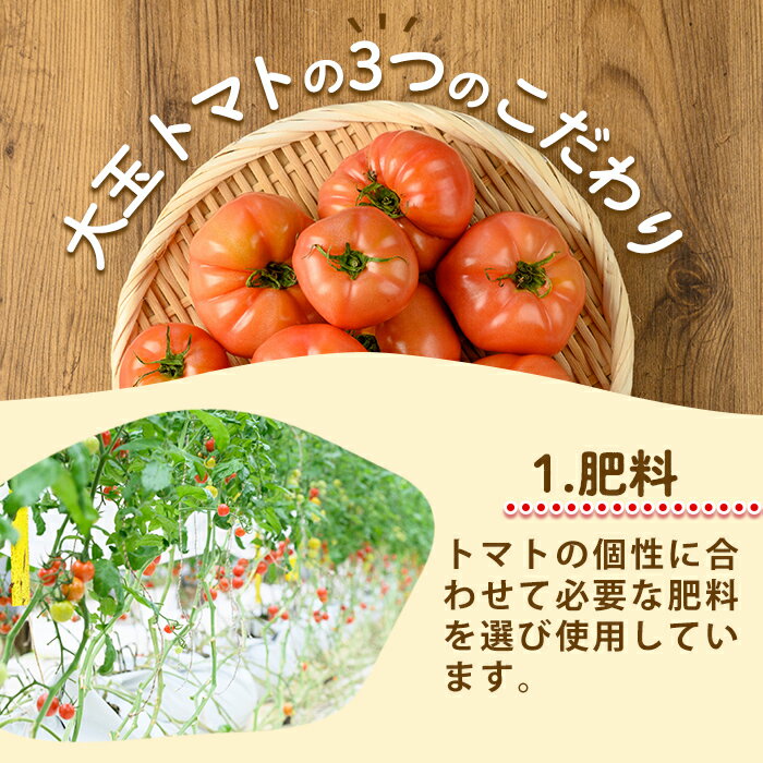 【ふるさと納税】《期間・数量限定》＜訳あり＞大玉トマト(約2kg) 鹿児島 国産 九州産 野菜 やさい 新鮮 とまと トマト 訳あり 規格外 ご家庭用 産地直送 サラダ 【吉祥庵園芸】 - 画像3