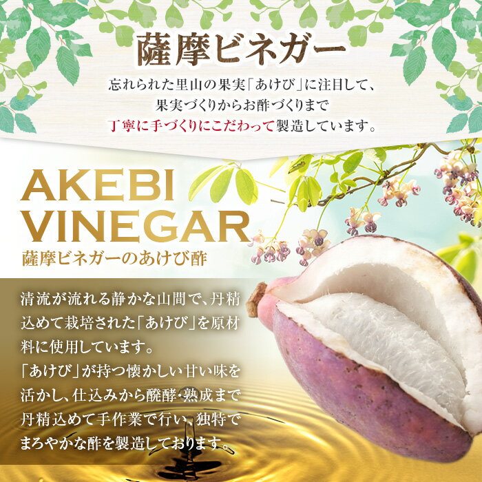 【ふるさと納税】＜お届け回数・容量が選べる！＞あけびde酢(300ml×1本・500ml×1本・300ml×2本×3回・500ml×1本×3回) 鹿児島県 国産 ジュース ドリンク お酢 酢 フルーツ酢 飲むお酢 飲む酢 健康酢 ビネガー ギフト 贈答 プレゼント 定期便 3回 【薩摩ビネガー】 サムネイル2