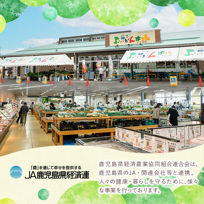 【ふるさと納税】野菜と果物旬の詰め合わせ(12〜14品目) 国産 九州産 鹿児島県産 野菜 やさい果物 くだもの フルーツ デザート 詰め合わせ お楽しみ セット 旬【鹿児島県経済農業協同組合連合会】 - 画像2