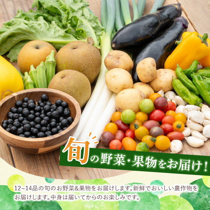 【ふるさと納税】野菜と果物旬の詰め合わせ(12〜14品目) 国産 九州産 鹿児島県産 野菜 やさい果物 くだもの フルーツ デザート 詰め合わせ お楽しみ セット 旬【鹿児島県経済農業協同組合連合会】 - 画像3