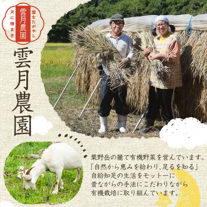 【ふるさと納税】《数量限定》薬膳味噌(ハトムギ味噌)(計800g・400g×2パック) 味噌 麦味噌 自家栽培 ハトムギ 玄米麹 ハトムギ麹 麦麹 麹 こうじ 玄米 大豆 黒大豆 みそ汁 味噌汁 化学肥料不使用 農薬不使用 有機 有機農業 有機肥料【雲月農園】 サムネイル2
