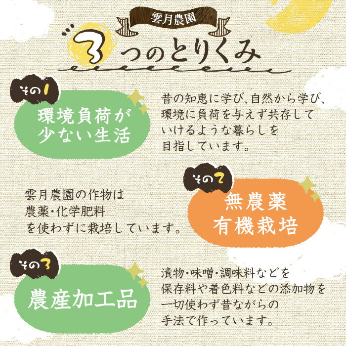 【ふるさと納税】《数量限定》薬膳味噌(ハトムギ味噌)(計800g・400g×2パック) 味噌 麦味噌 自家栽培 ハトムギ 玄米麹 ハトムギ麹 麦麹 麹 こうじ 玄米 大豆 黒大豆 みそ汁 味噌汁 化学肥料不使用 農薬不使用 有機 有機農業 有機肥料【雲月農園】 サムネイル3