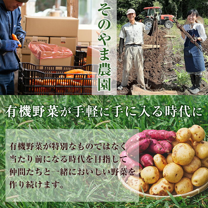 【ふるさと納税】≪内容量/サイズ選べる・期間/数量限定≫湧水町産有機さつまいも「紅はるか」(計5~10kg) 国産 九州産 鹿児島県産 有機栽培 オーガニック サツマイモ 生芋 芋 焼き芋 やきいも べにはるか ミニ ミニサイズ 野菜 おやつ スイーツ 旬 常温【そのやま農園】 サムネイル2
