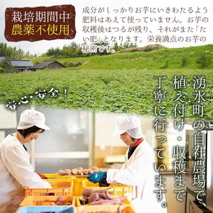 【ふるさと納税】鹿児島県産紅はるか使用の冷凍やきいも(3kg) 国産 九州産 サツマイモ さつま芋 紅春香 芋 焼き芋 やきいも焼きいも 野菜 スイーツ 冷凍 熟成【永野工務店】 - 画像3