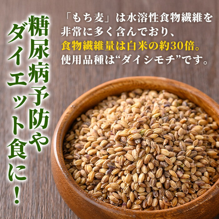【ふるさと納税】棚田で作ったもち麦200g×5袋(計1kg)！日本棚田百選に選定されている「鹿児島県湧水町幸田棚田のもち麦」国産 九州産 鹿児島県産 もち麦 ごはん ご飯 ダイエット 健康【福永商店】 - 画像2