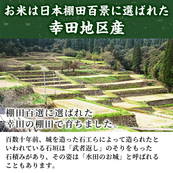 【ふるさと納税】棚田で作ったもち麦200g×5袋(計1kg)！日本棚田百選に選定されている「鹿児島県湧水町幸田棚田のもち麦」国産 九州産 鹿児島県産 もち麦 ごはん ご飯 ダイエット 健康【福永商店】 - 画像3