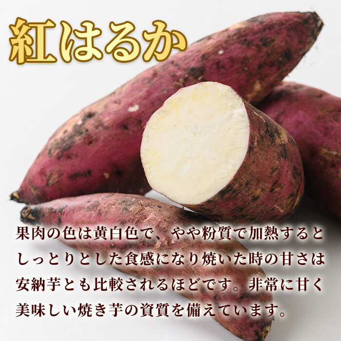 【ふるさと納税】＜訳あり＞自慢の農家×老舗青果店の土付き生芋(紅はるか・5kg) 鹿児島 お芋 サツマイモ 薩摩芋 生芋 焼き芋 おかず スイーツ【有留青果】【0073609a】 - 画像3