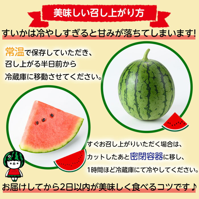 【ふるさと納税】《2026年5月以降発送》小玉すいか・ピノ・ガール(2玉・計4kg以上) 果物 果実 フルーツ スイカ ピノガール 数量限定 期間限定【宮内農園】【0165005a】 サムネイル3