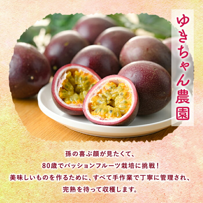 【ふるさと納税】ゆきちゃん農園のパッションフルーツ(1.2kg以上) フルーツ 果物 果実 1キロ 期間限定 国産【ゆきちゃん農園】【0105302a】 サムネイル3