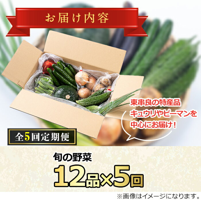 【ふるさと納税】＜定期便・全5回＞自慢の農家×老舗青果店の新鮮でおいしいおまかせ野菜便(12品×5回) 野菜 やさい 旬 旬野菜 旬の野菜 季節 季節の野菜 お野菜 サラダ セット 詰合せ 詰め合せ 定期便 定期 野菜定期便 お楽しみ 野菜セット【有留青果】【75956】 - 画像2
